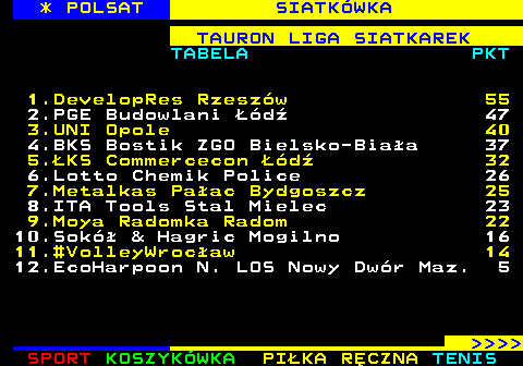 256.4 * POLSAT SIATK�WKA TAURON LIGA SIATKAREK TABELA PKT 1.DevelopRes Rzesz�w 55 2.PGE Budowlani ��d� 47 3.UNI Opole 40 4.BKS Bostik ZGO Bielsko-Bia�a 37 5.�KS Commercecon ��d� 32 6.Lotto Chemik Police 26 7.Metalkas Pa�ac Bydgoszcz 25 8.ITA Tools Stal Mielec 23 9.Moya Radomka Radom 22 10.Sok� & Hagric Mogilno 16 11.#VolleyWroc�aw 14 12.EcoHarpoon N. LOS Nowy Dw�r Maz. 5     