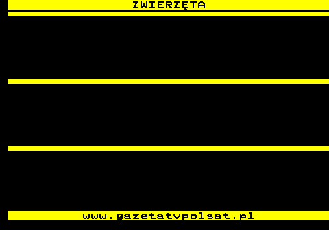 646.1 ZWIERZ�TA www.gazetatvpolsat.pl